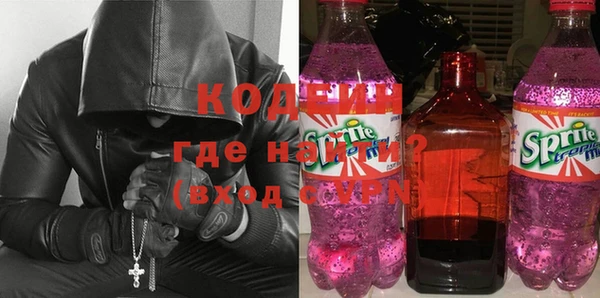 шишки Пестово