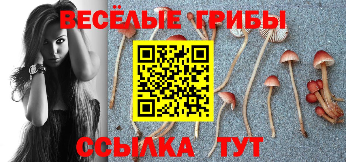 Галлюциногенные грибы Psilocybine cubensis Каменск-Уральский
